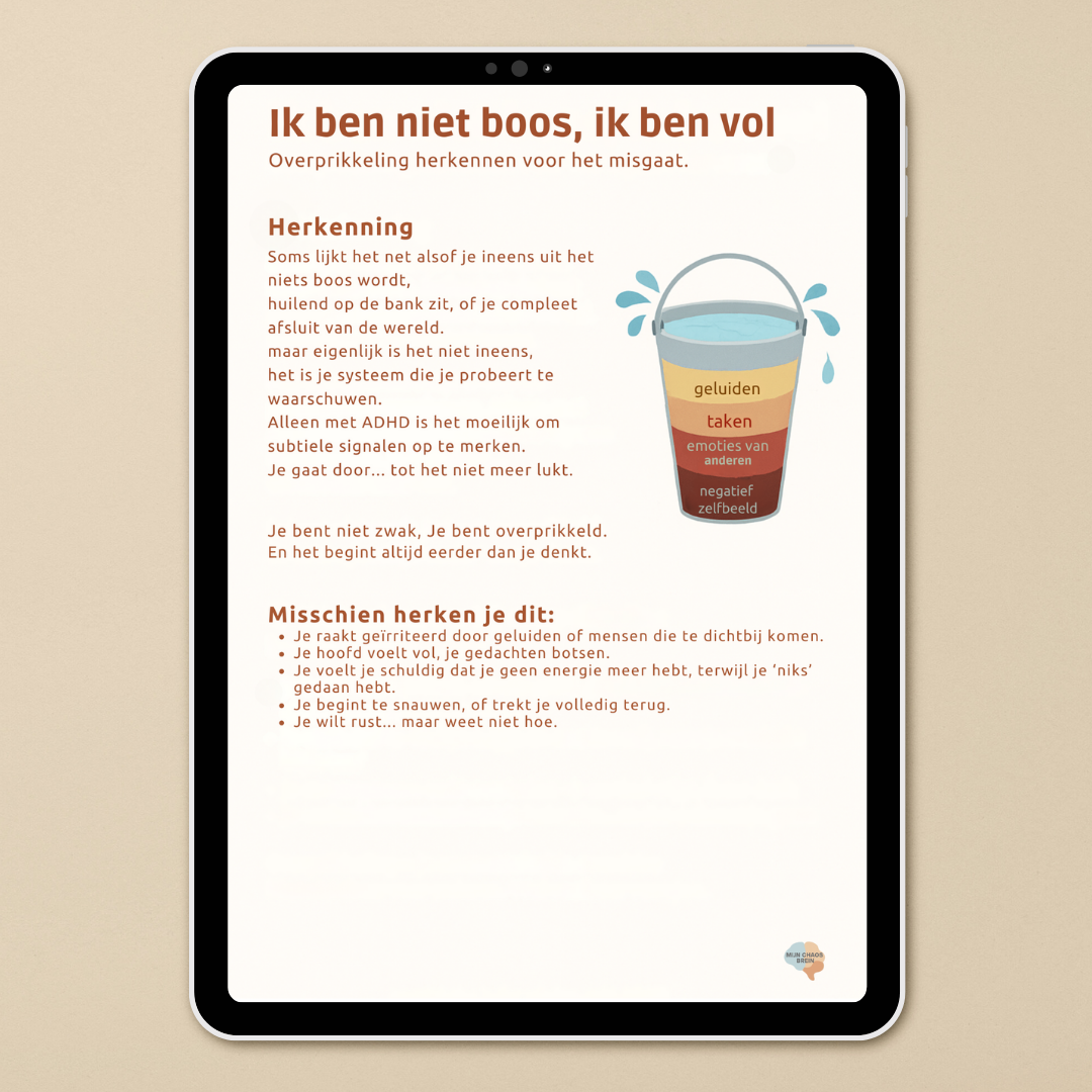 Herken overprikkeling voordat het misgaat | Mijn Chaos Brein