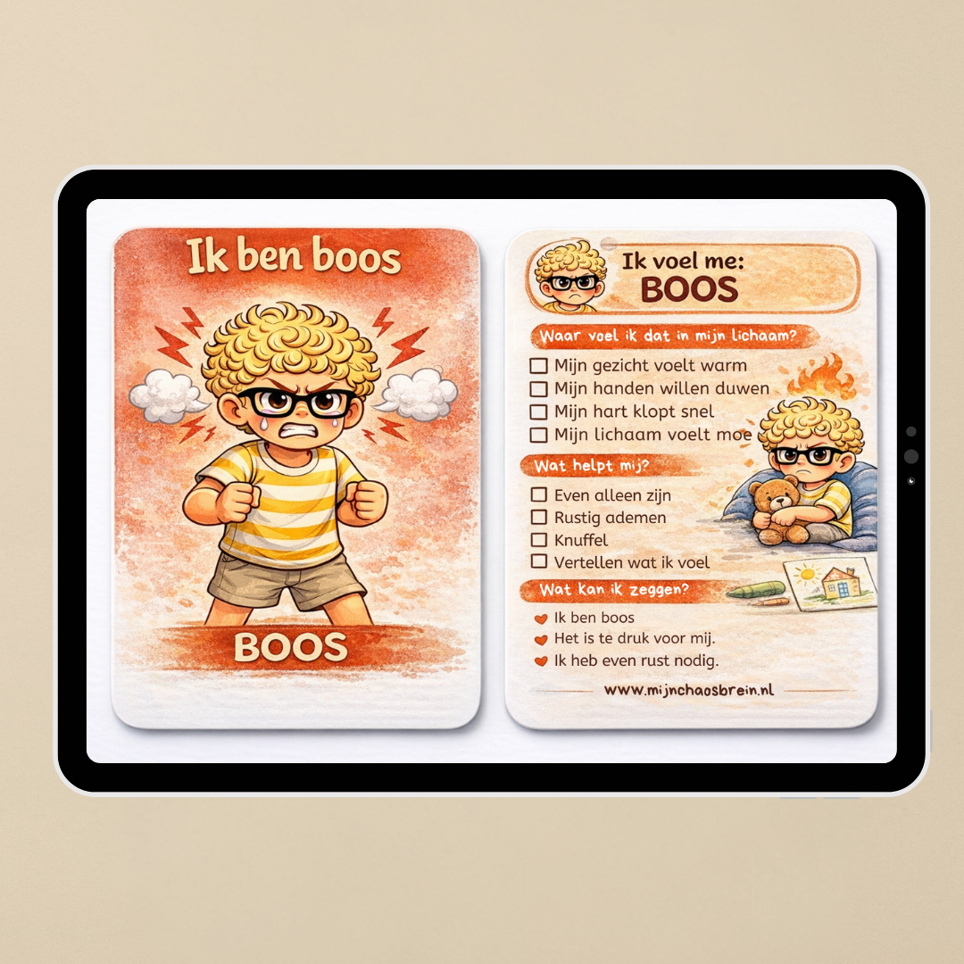 De wereld van Mees | Digitale verdieping bundel