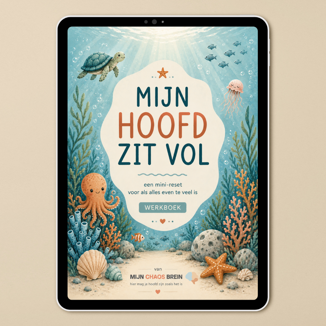 Mijn hoofd zit vol | Digitaal werkboek