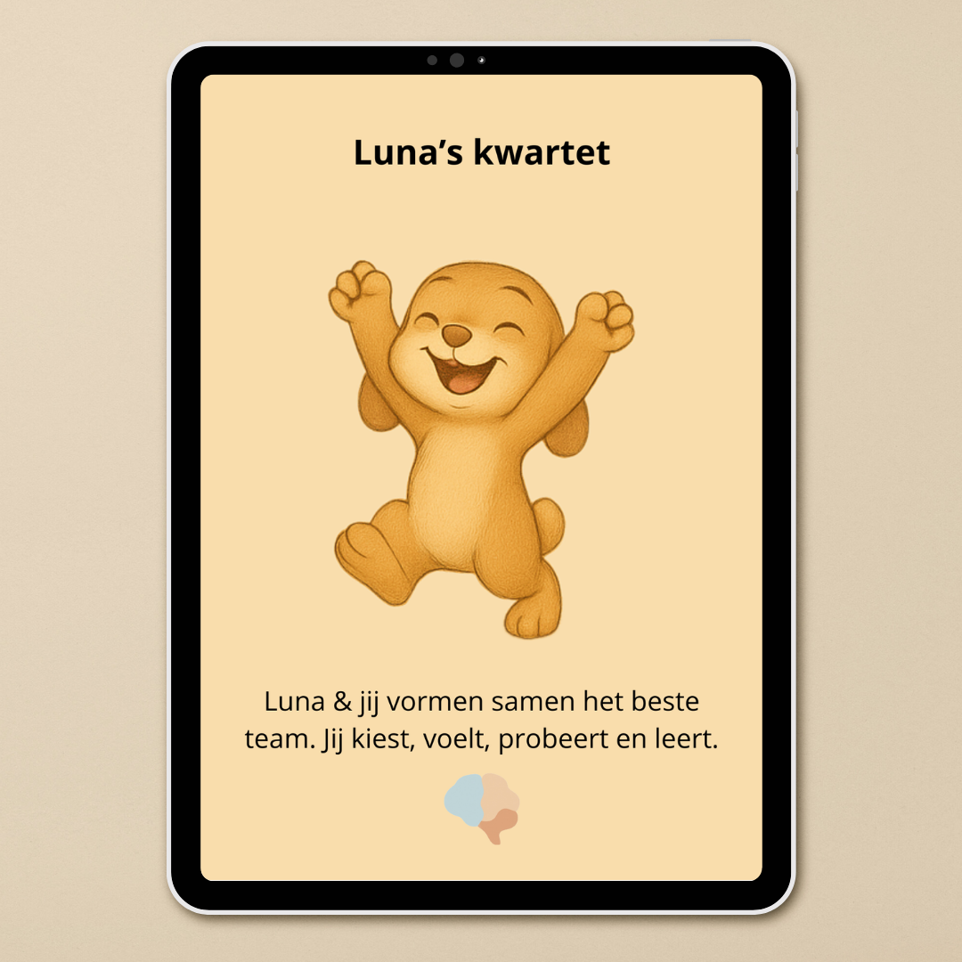 Luna Kwartet | Samen spelen, leren en herkennen